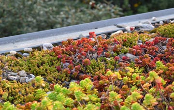 the cost of Little Hungerford green roof installation