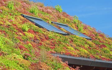 Little Hungerford living roof systems